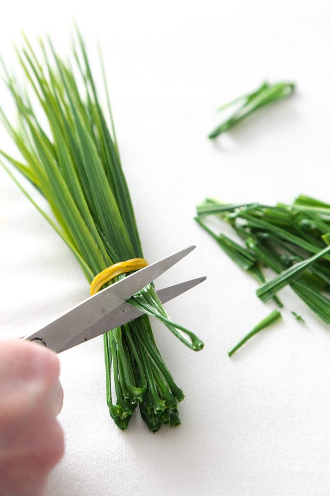 DIY Spring Grass Place Card Holders