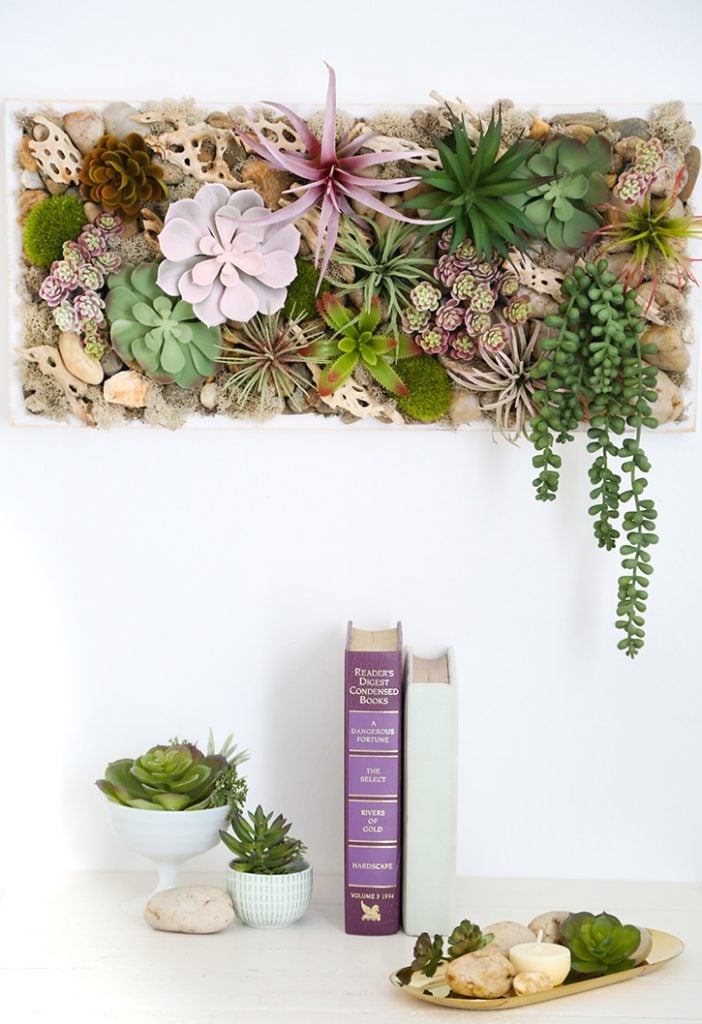 Succulent Wall Hanging Tray