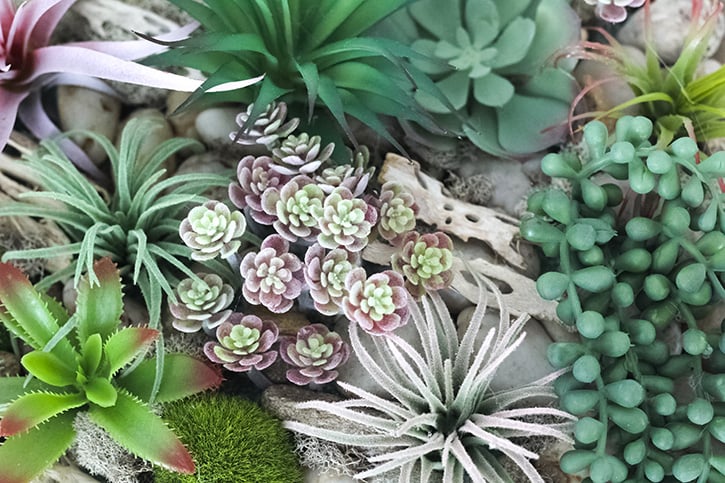 Succulent Wall Hanging Tray