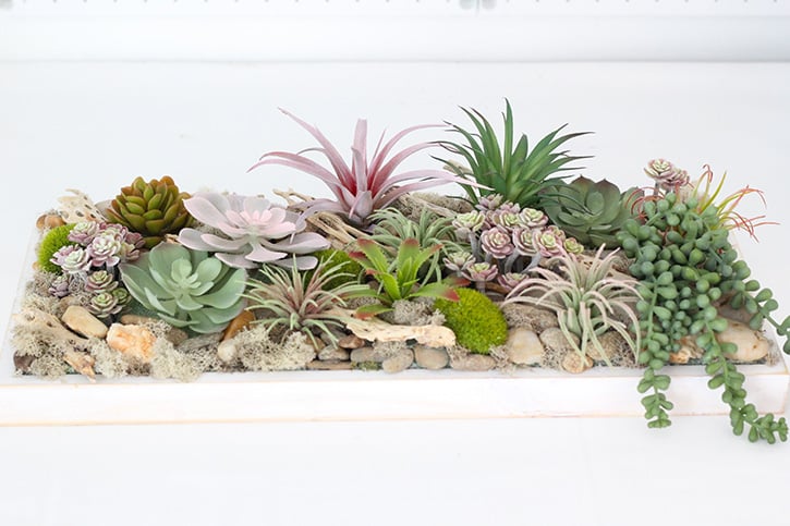 Succulent Wall Hanging Tray