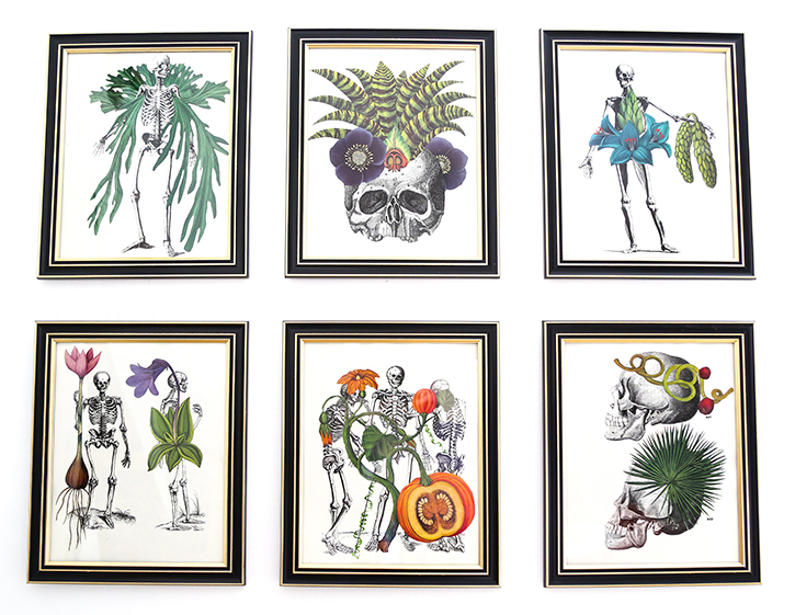 DIY Skeleton Botanical Art for Halloween