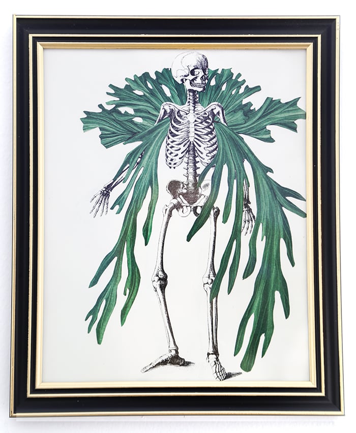 DIY Skeleton Botanical Art for Halloween
