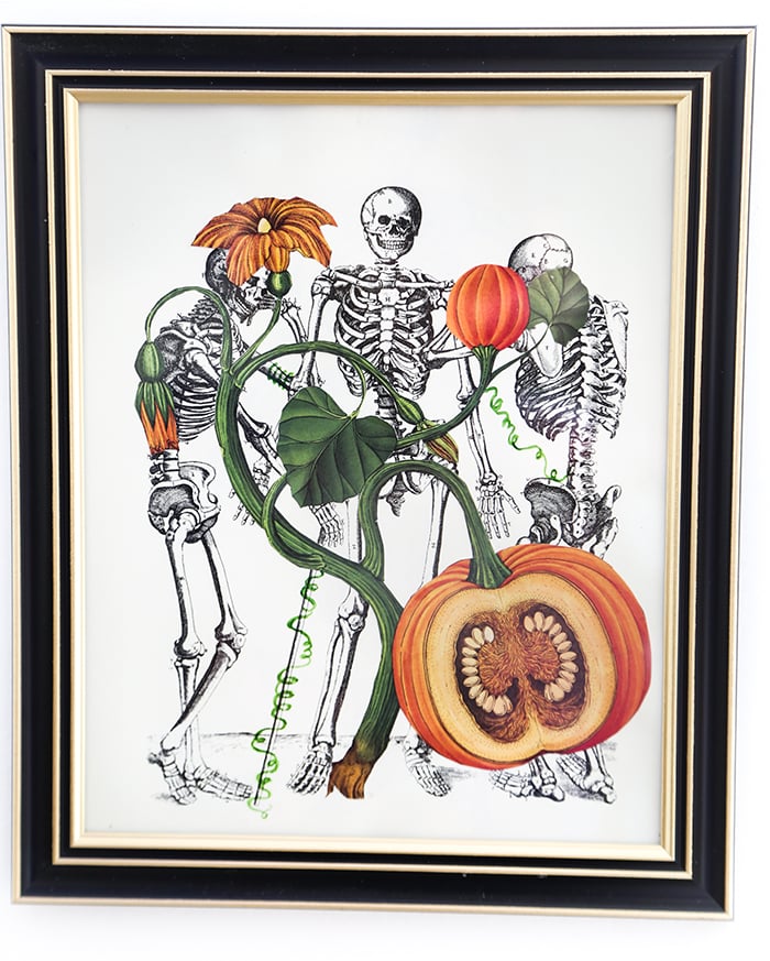 DIY Skeleton Botanical Art for Halloween