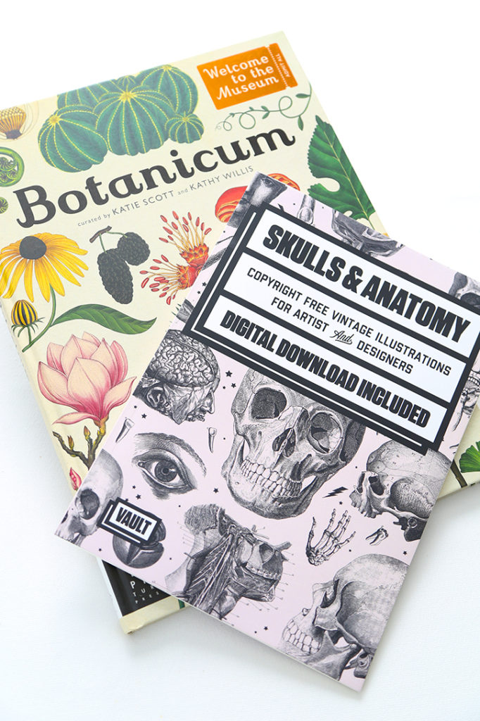 DIY Skeleton Botanical Art for Halloween