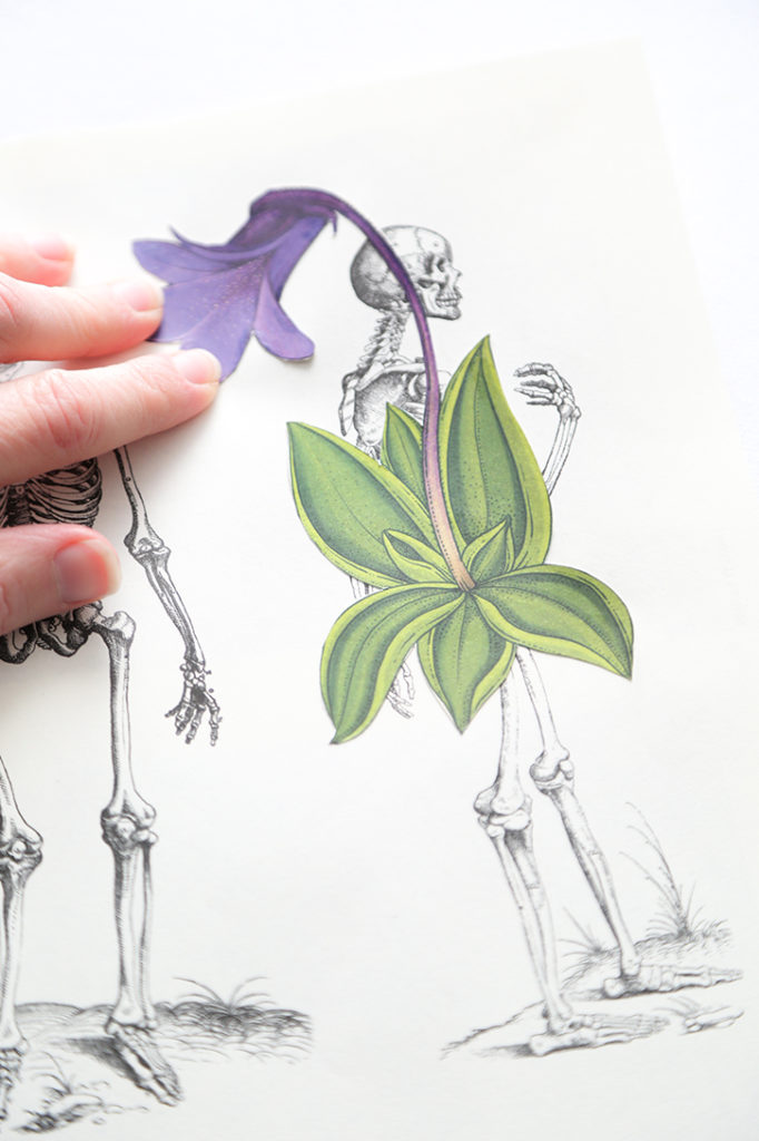 DIY Skeleton Botanical Art for Halloween