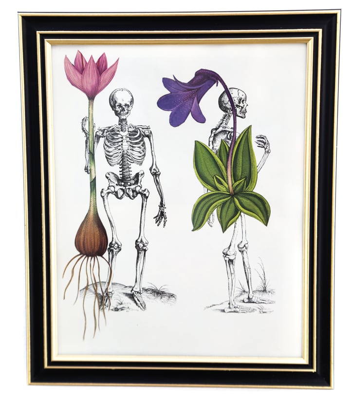 DIY Skeleton Botanical Art for Halloween