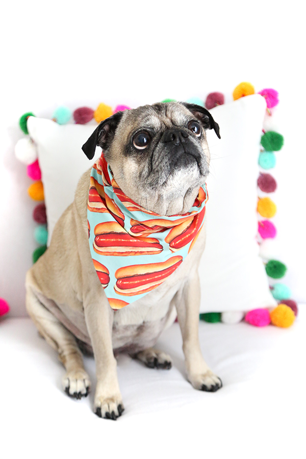 Easy Sew Dog Collar Bandana