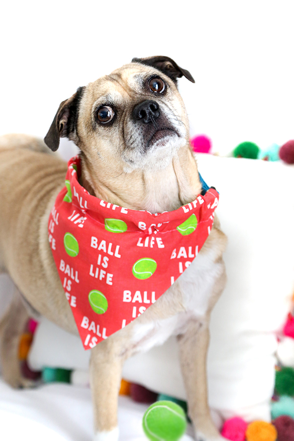 Easy Sew Dog Collar Bandana