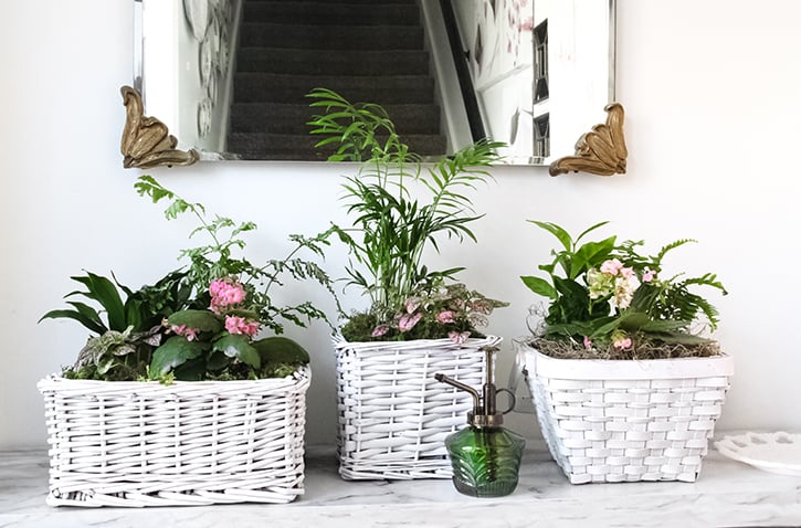 Upcycle a Basket Into a Planter