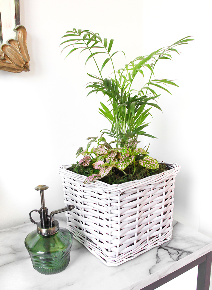 Upcycle a Basket Into a Planter