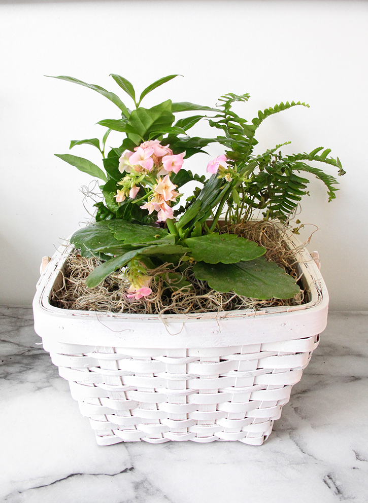 Upcycle a Basket Into a Planter