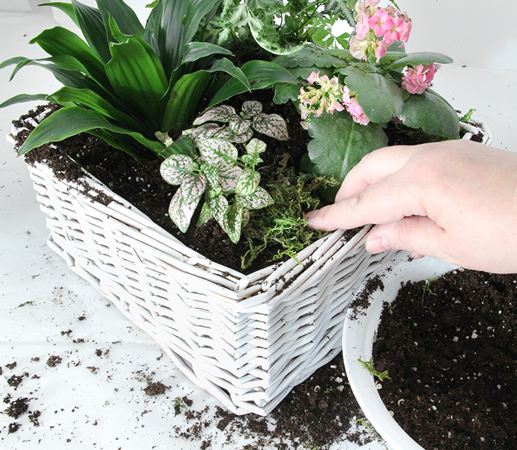 Upcycle a Basket Into a Planter