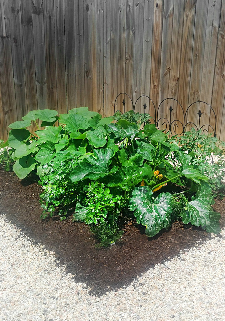 Lasagna Garden