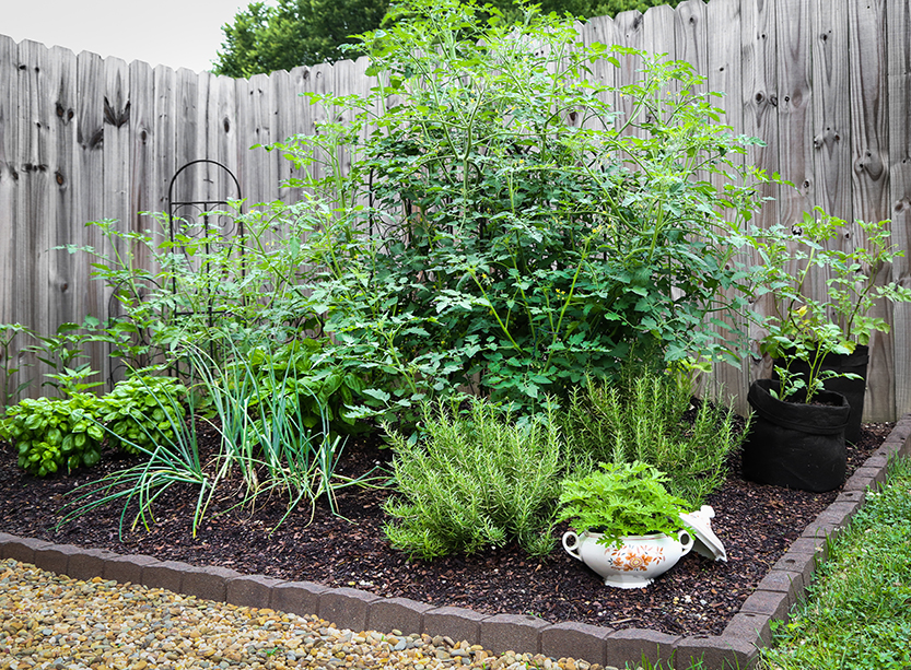 Lasagna Garden