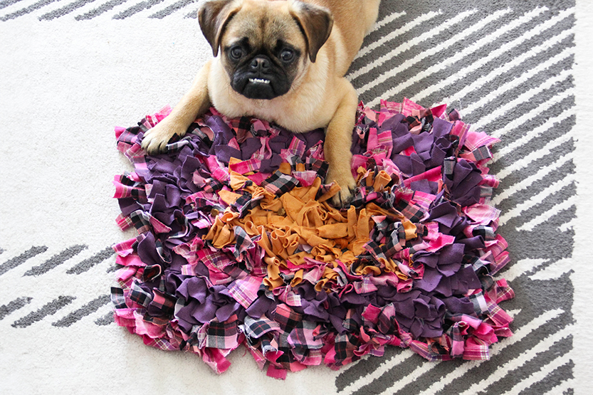 DIY Snuffle Mat