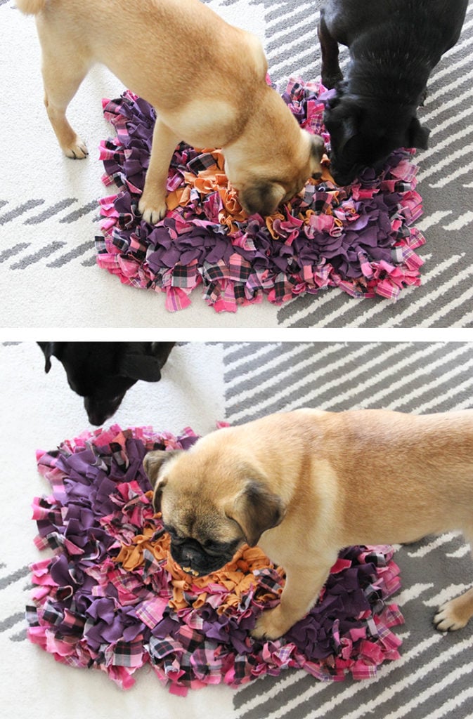 DIY Snuffle Mat