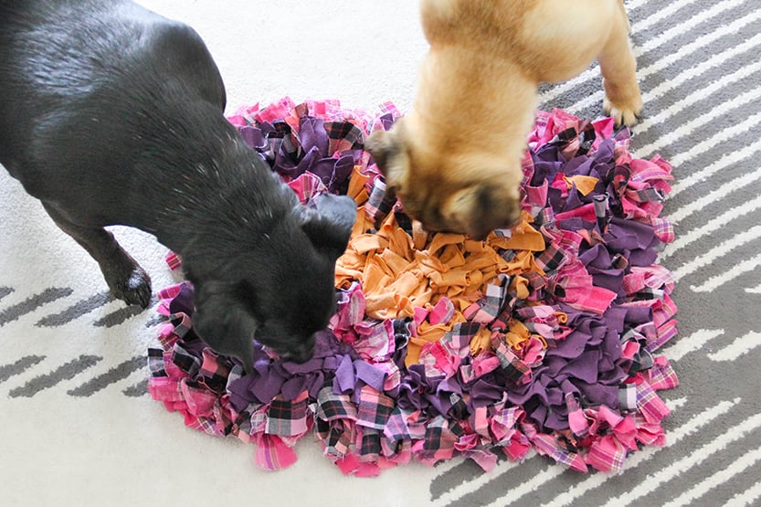 DIY Snuffle Mat